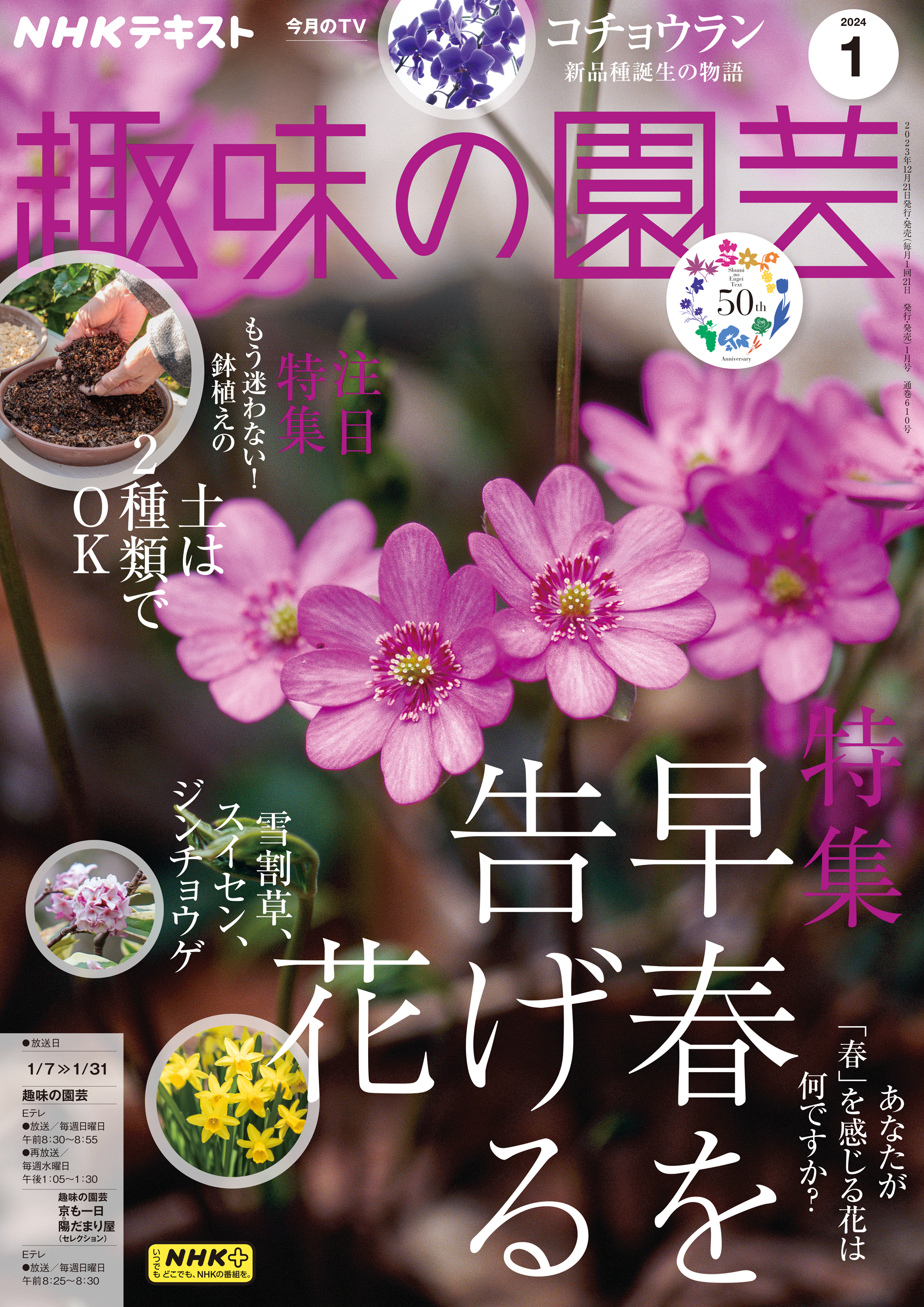 NHKテキスト 趣味の園芸 やさいの時間 2023 6〜7 - 趣味