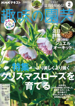 ＮＨＫ 趣味の園芸 2024年2月号 - - 漫画・ラノベ（小説）・無料試し