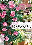 ＮＨＫ 趣味の園芸  2025年5月号