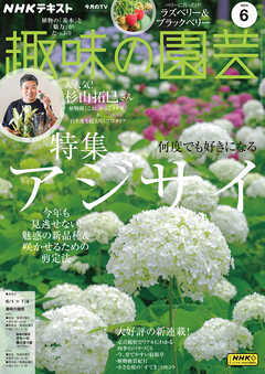 ＮＨＫ 趣味の園芸  2025年6月号
