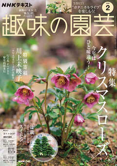 ＮＨＫ 趣味の園芸  2026年2月号