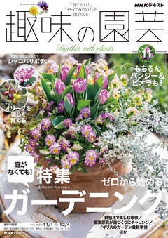 ＮＨＫ 趣味の園芸  2026年11月号