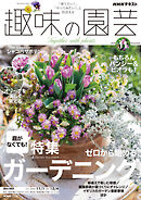 ＮＨＫ 趣味の園芸  2026年11月号