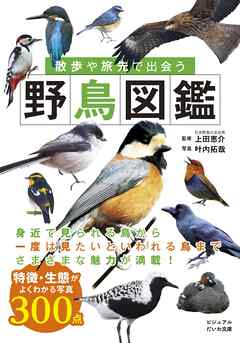 散歩や旅先で出会う野鳥図鑑