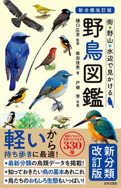 新分類改訂版 野鳥図鑑