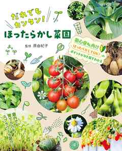 ほったらかし菜園