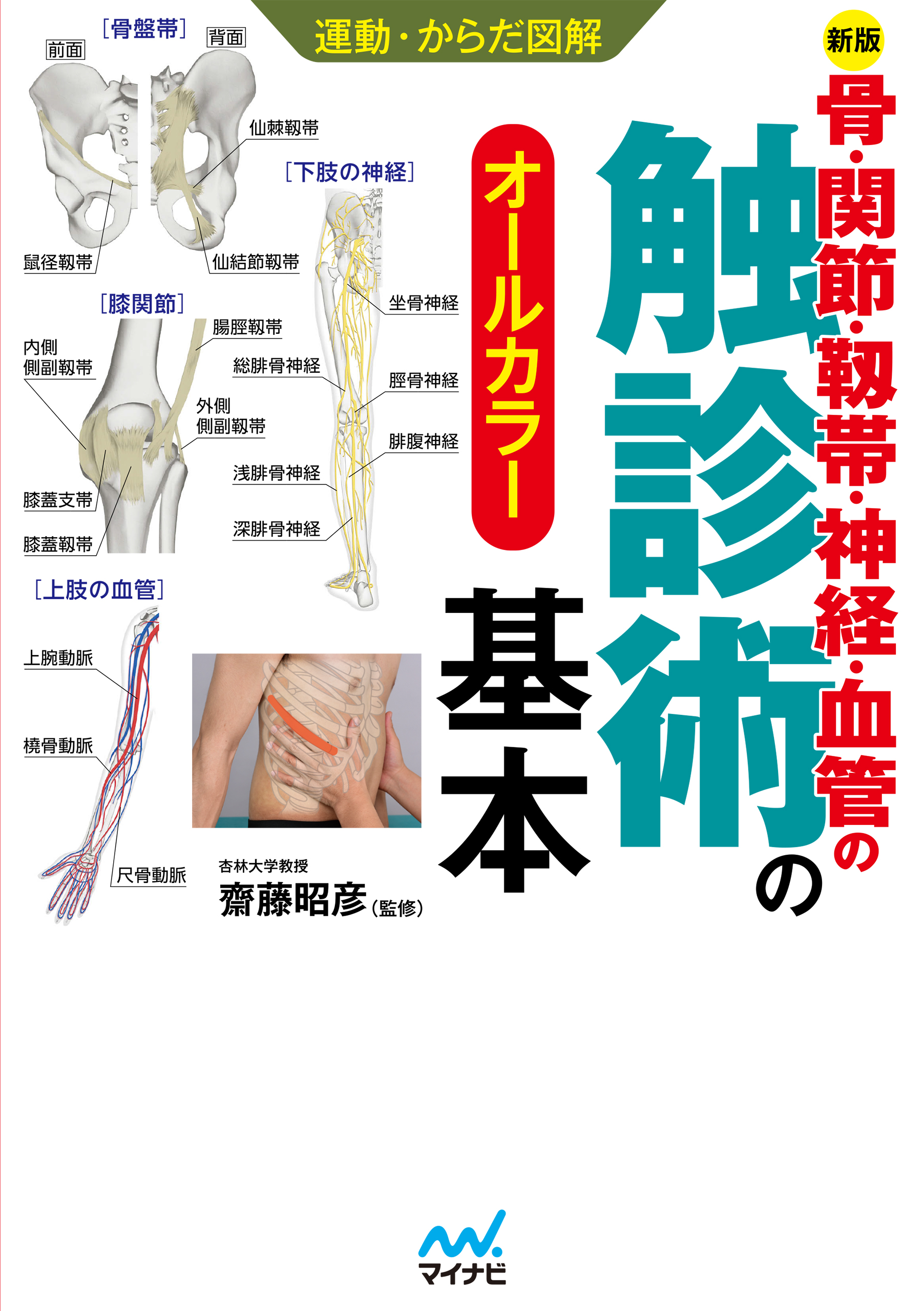 運動・からだ図解 骨・関節・靭帯・神経・血管の触診術の基本【新版 