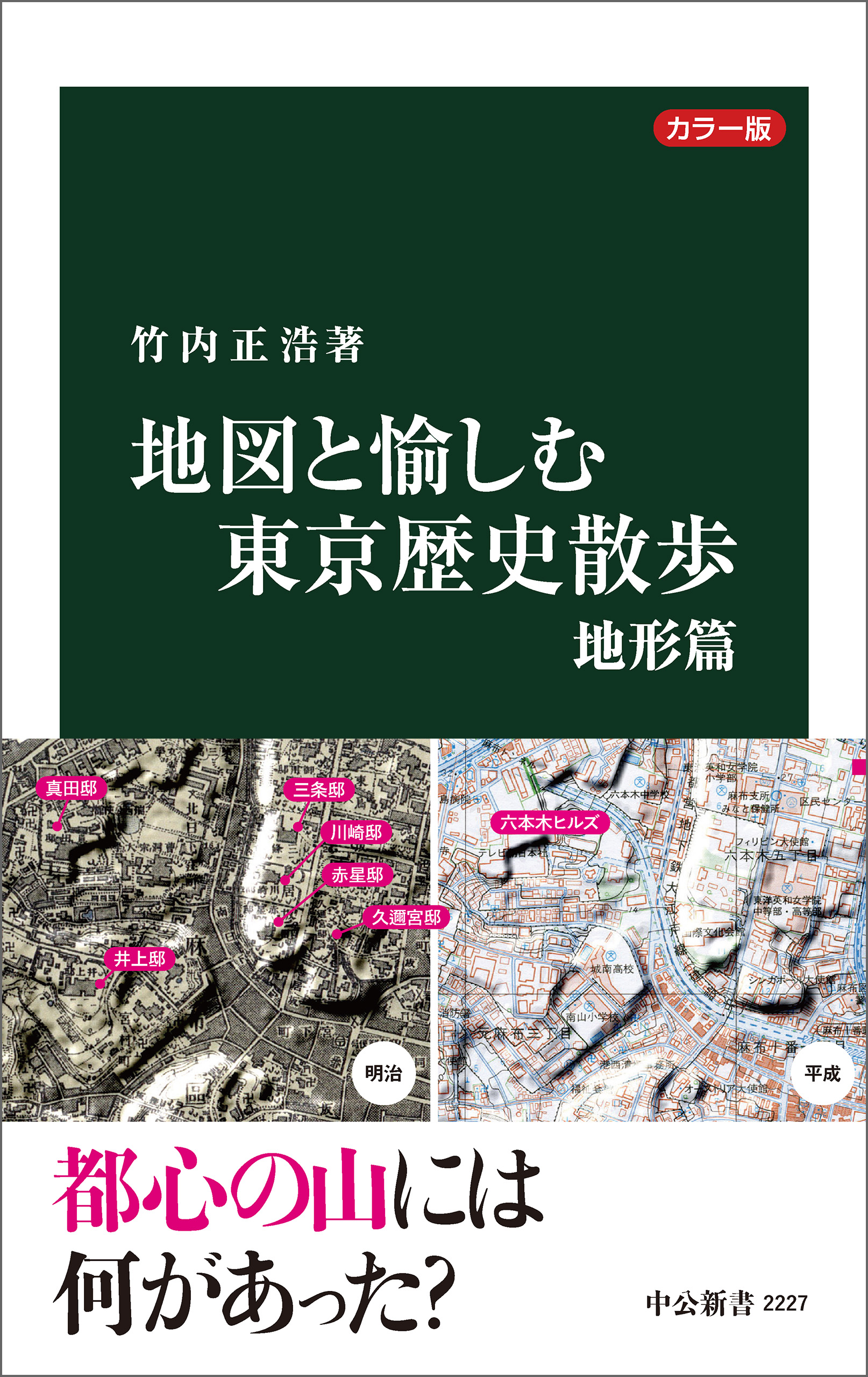 カラー版 地図と愉しむ東京歴史散歩 地形篇 - 竹内正浩 - 漫画・ラノベ