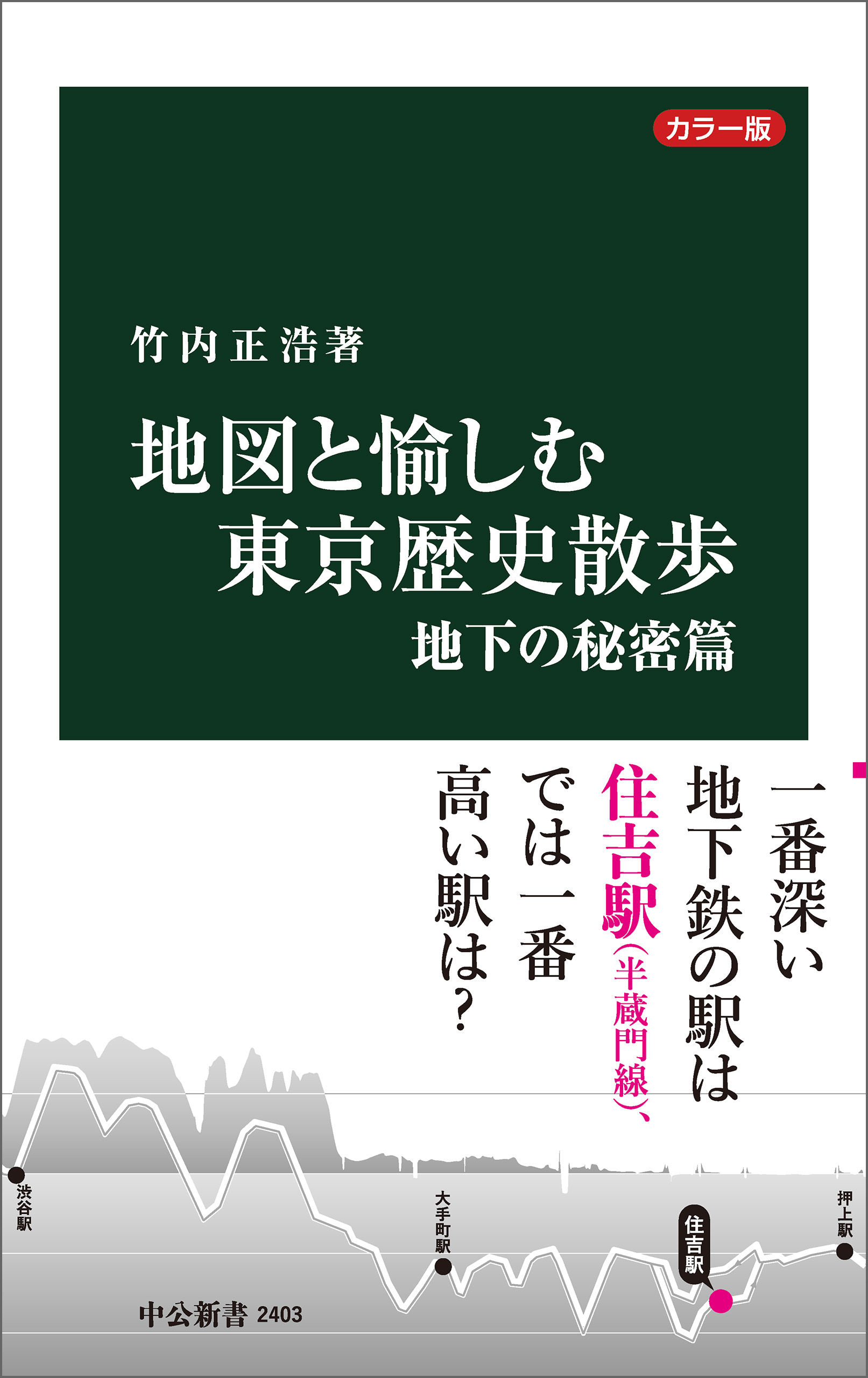 カラー版 地図と愉しむ東京歴史散歩 地下の秘密篇 - 竹内正浩 - 漫画