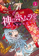 神にホムラを　―最終定理の証明方法―（３）