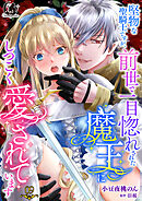 堅物な聖騎士ですが、前世で一目惚れされた魔王にしつこく愛されています【短編】 9