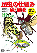 昆虫の仕組み　解剖図鑑　ムシたちの不思議がわかる！