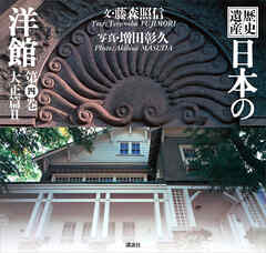 歴史遺産　日本の洋館第四巻　大正篇２