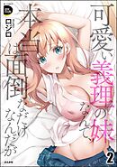 可愛い義理の妹なんて、本当は面倒なだけなんだが　（2）