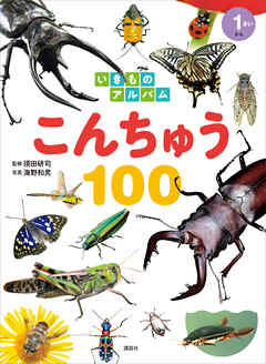 いきものアルバム　こんちゅう１００