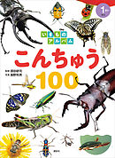 いきものアルバム　こんちゅう１００