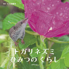 トガリネズミ ひみつのくらし