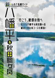 復刻デジタル版 航空写真で見る 新・岩手の海釣り - 岩手日報社
