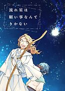 流れ星は願い事なんてきかない(2)
