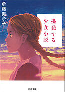 挑発する少女小説