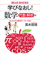 学びなおし！　数学　代数・解析編　なっとくする数学キーワード２９