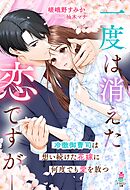 一度は消えた恋ですが――冷徹御曹司は想い続けた花嫁に何度でも愛を放つ