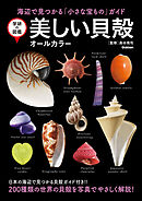 学研の図鑑 美しい貝殻 オールカラー