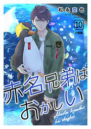 赤名兄弟はおかしい 分冊版