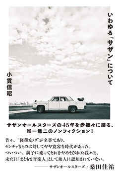いわゆる「サザン」について