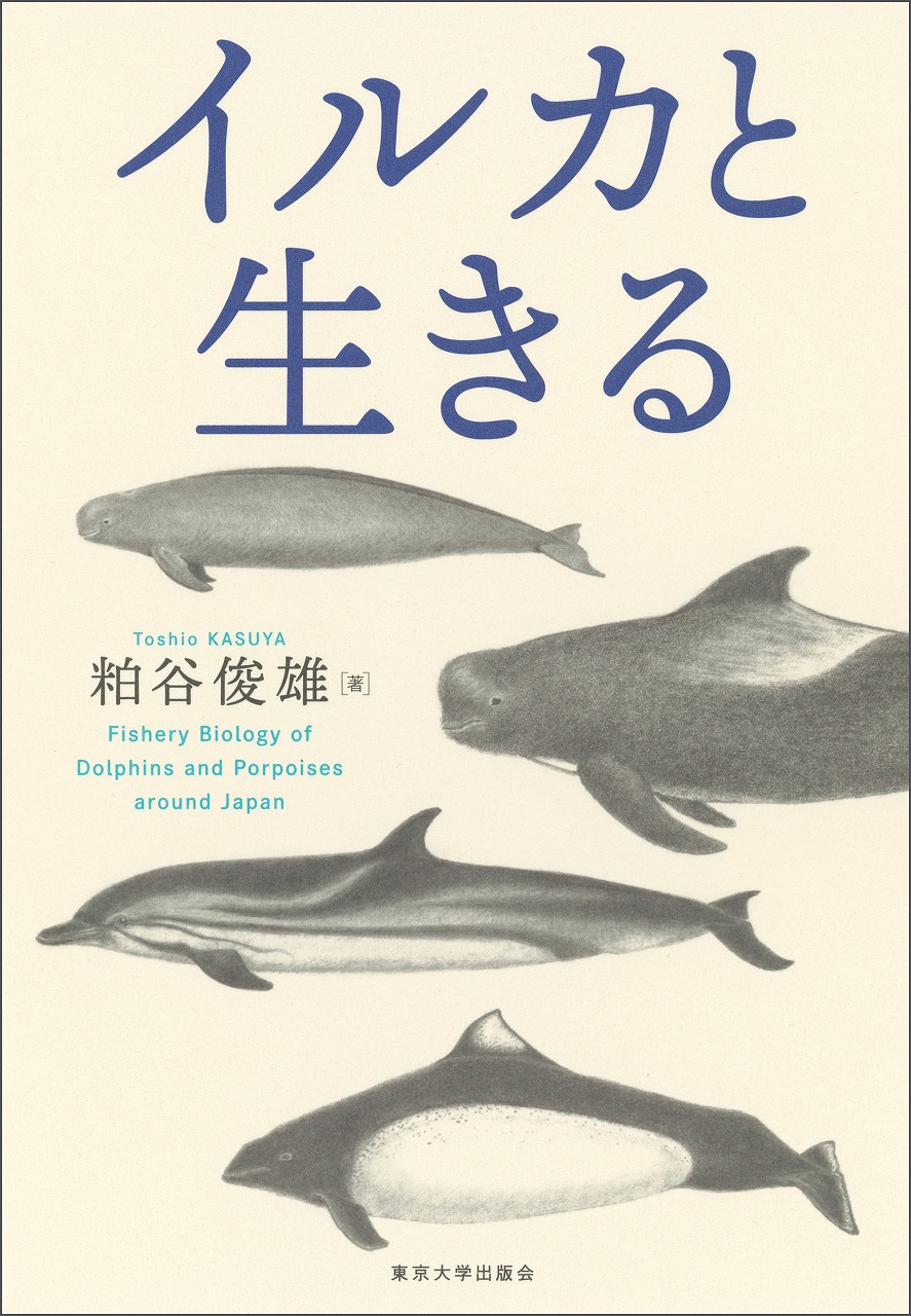 イルカ様専用 イルカさま専用です イルカさま専用 イルカ様専用ページ