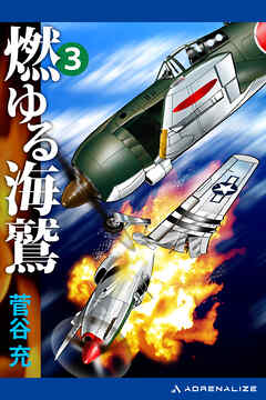 燃ゆる海鷲（３）
