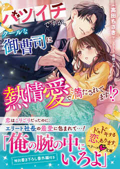 バツイチですが、クールな御曹司に熱情愛で満たされてます！？ - 高田ちさき/夜咲こん - ラノベ・無料試し読みなら、電子書籍・コミックストア  ブックライブ