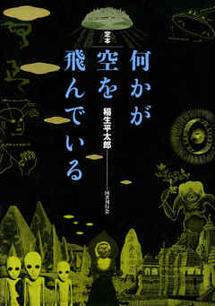 何かが空を飛んでいる
