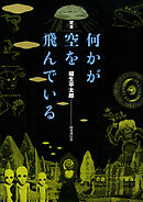 何かが空を飛んでいる