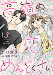 高嶺の恋はめんどくさい【合冊版】【書き下ろし特典付き】