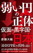 弱い円の正体　仮面の黒字国・日本