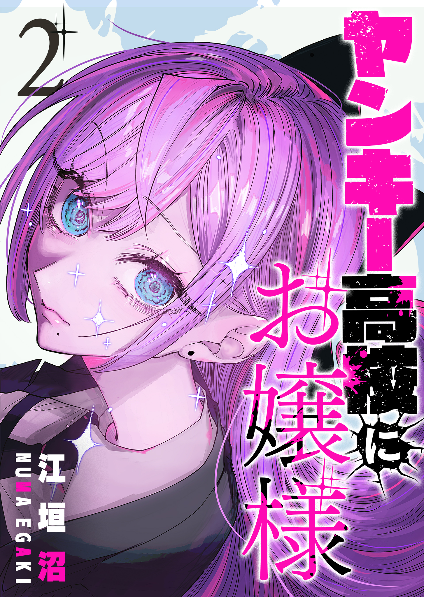 ヤンキー高校にお嬢様（2）（最新刊） - 江垣沼 - 青年マンガ