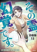 【分冊版】その霊、幻覚です。 (13)