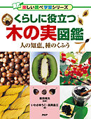 くらしに役立つ木の実図鑑 人の知恵、種のくふう