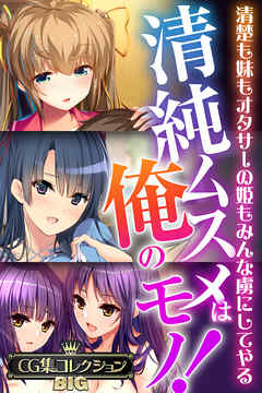 清純ムスメは俺のモノ！～清楚も妹もオタサーの姫もみんな虜にしてやる～【CG集コレクションBIG】
