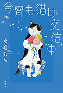 今宵も猫は交信中