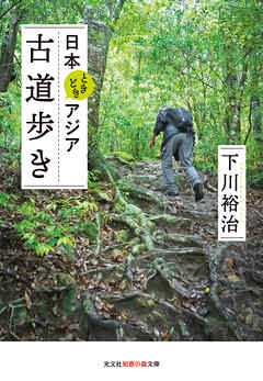 日本ときどきアジア　古道歩き - 下川裕治 - ビジネス・実用書・無料試し読みなら、電子書籍・コミックストア ブックライブ