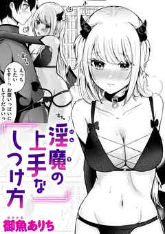 淫魔の上手なしつけ方