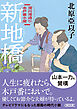 新地橋　深川澪通り木戸番小屋