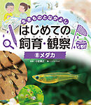 メダカ８　生きものとなかよし　はじめての飼育・観察
