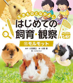 モルモット１１　生きものとなかよし　はじめての飼育・観察