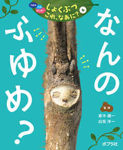 なんの　ふゆめ？６　つぼみ・たね・はっぱ・・・　しょくぶつ　これ、なあに？