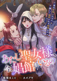 あたし聖女様、今、娼館にいるの 夜は聖騎士たちに激しく溺愛される娼婦なの - 飯塚まこと/カズアキ -  TL(ティーンズラブ)小説・無料試し読みなら、電子書籍・コミックストア ブックライブ