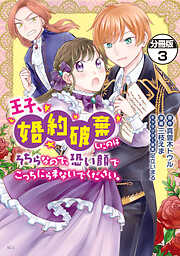 王子、婚約破棄したのはそちらなので、恐い顔でこっちにらまないでください。　分冊版