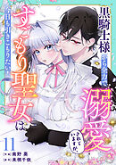 Berry’sFantasy黒騎士様から全力で溺愛されていますが、すごもり聖女は今日も引きこもりたい！11巻